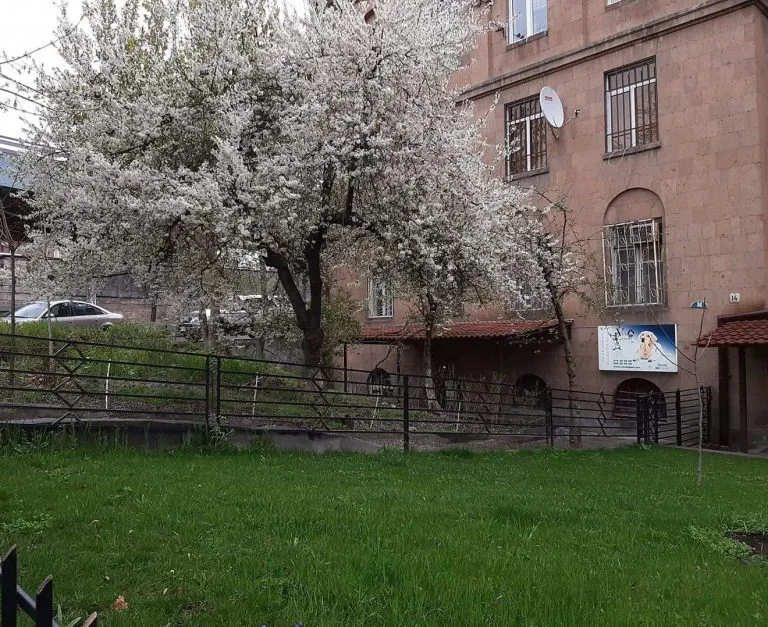 Մենք այստեղ ենք
