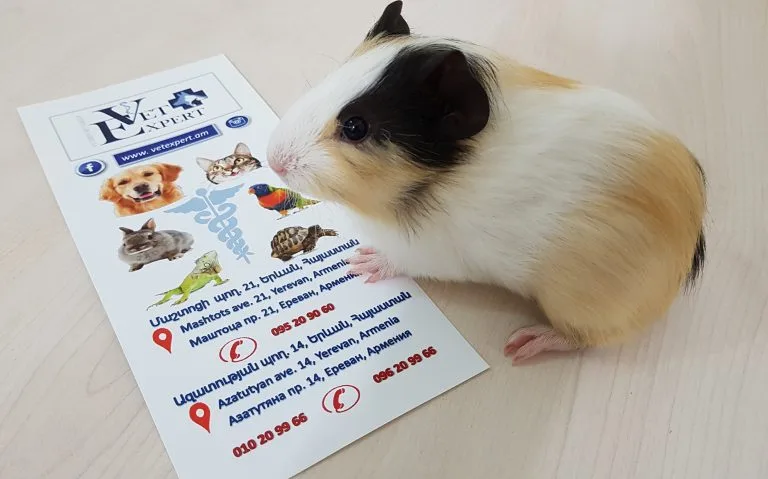 Мы рядом с вами